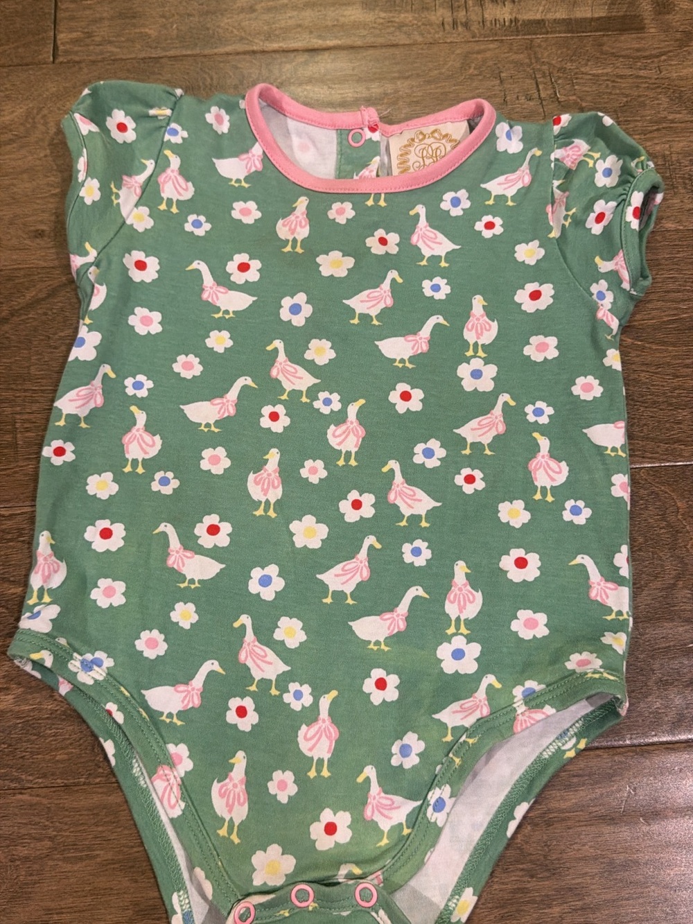 The Beaufort Bonnet Company Green One-Piece with Pink Duck & Multicolor Flowers